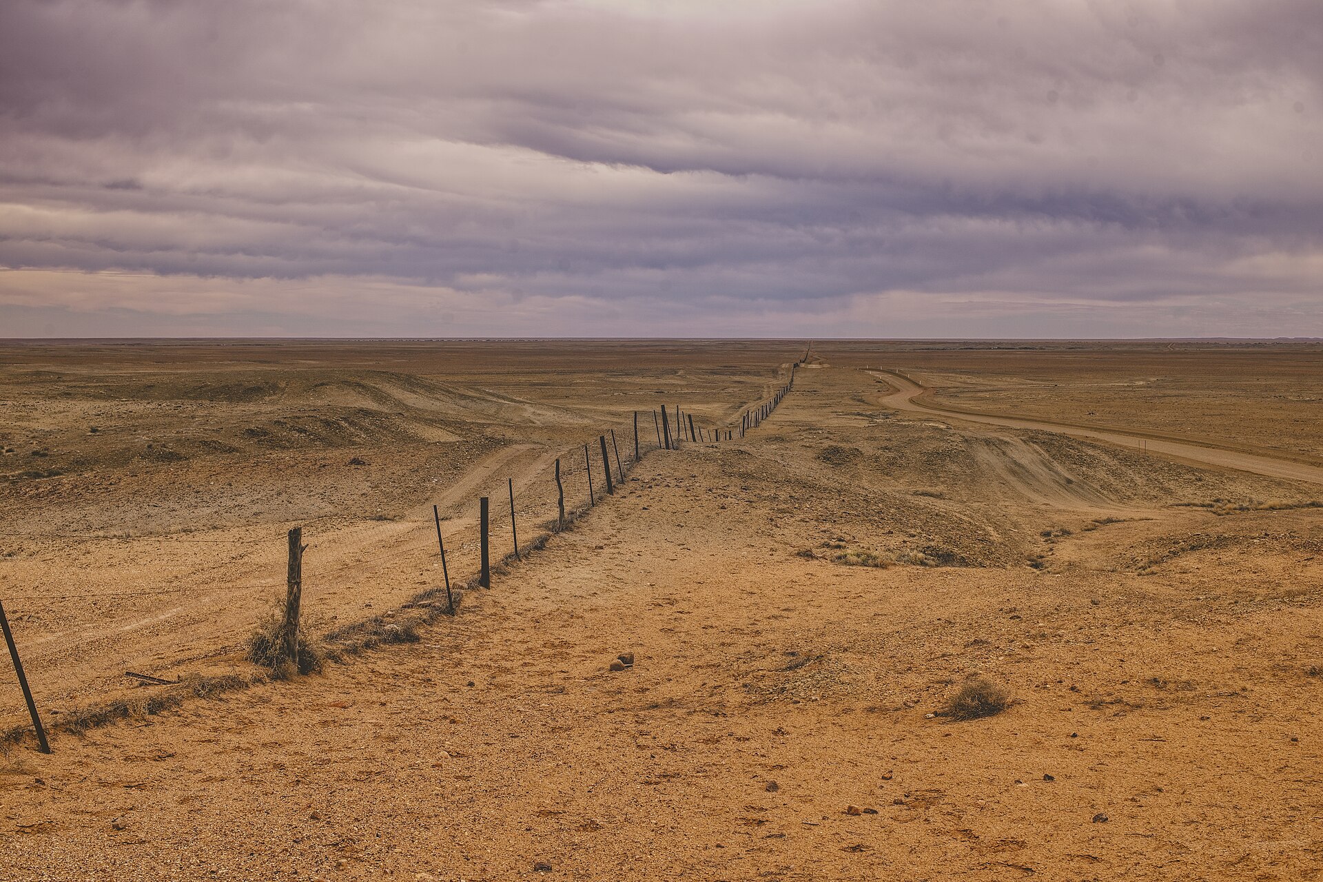 The Dog Fence running into the outback beneath a wide sky